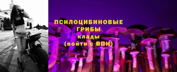 mdpv Володарск