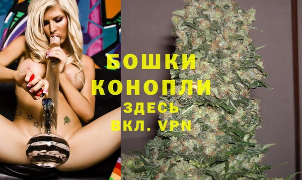 дмт Вяземский