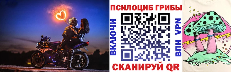 Галлюциногенные грибы Psilocybine cubensis  где купить наркотик  Геленджик 