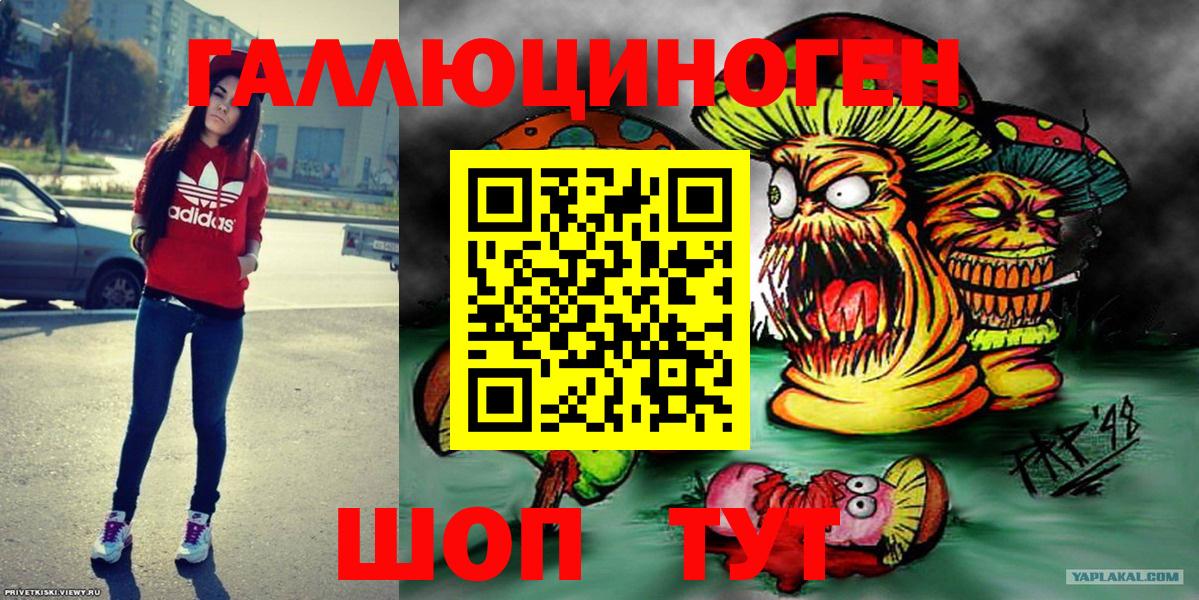 Галлюциногенные грибы Psilocybe Геленджик